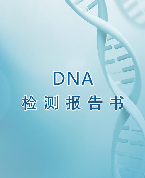 凉山亲子鉴定流程之出具报告